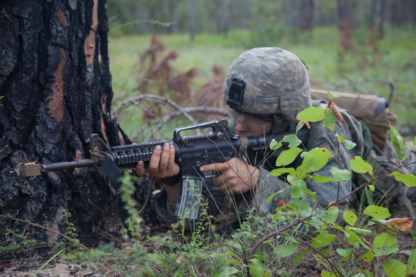 A U.S. Army Ranger student, assigned to the Airborne - NARA & DVIDS ...