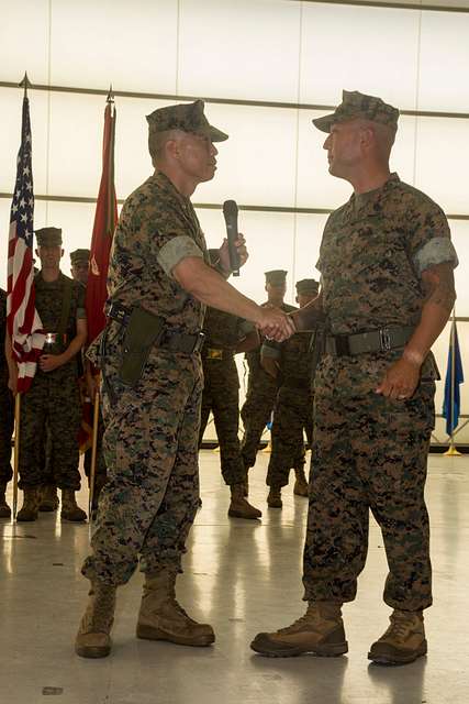 U.S. Marine Corps Lt. Col. Lesley W. Chiu shakes hands - PICRYL ...