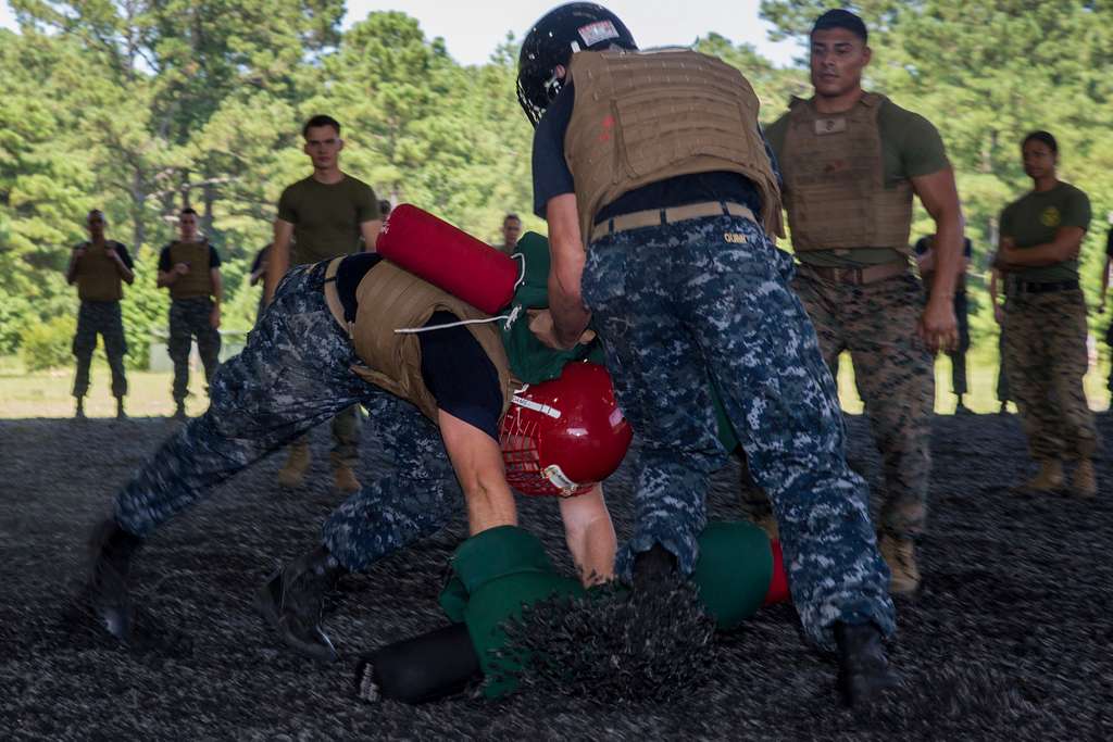 Pugil stick training