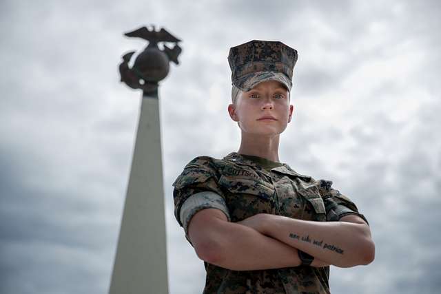 U.S. Marine Sgt. Maj. Carlos A. Reina, current Senior - PICRYL