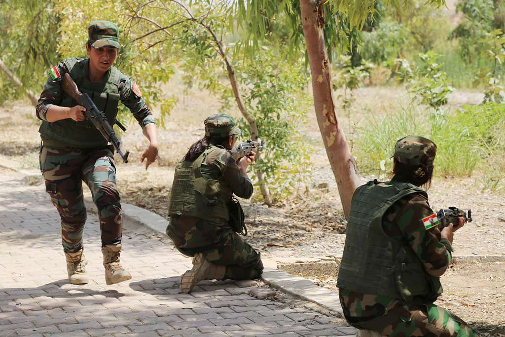 A Zeravani soldier conducts a tactical withdrawal movement - PICRYL ...