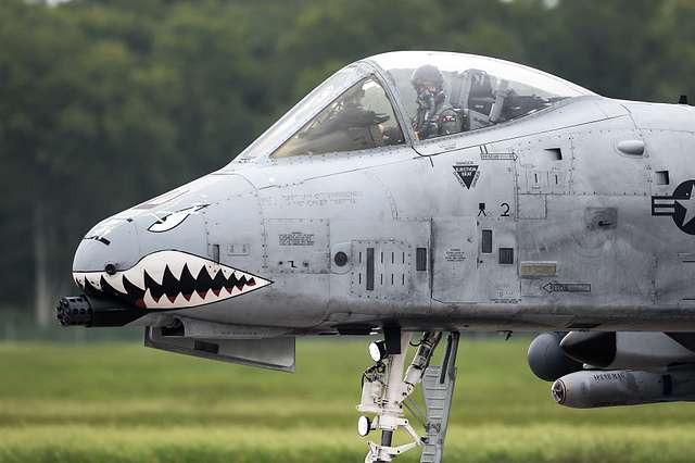 An A-10 Thunderbolt II with the 75th Fighter Squadron - PICRYL Public ...