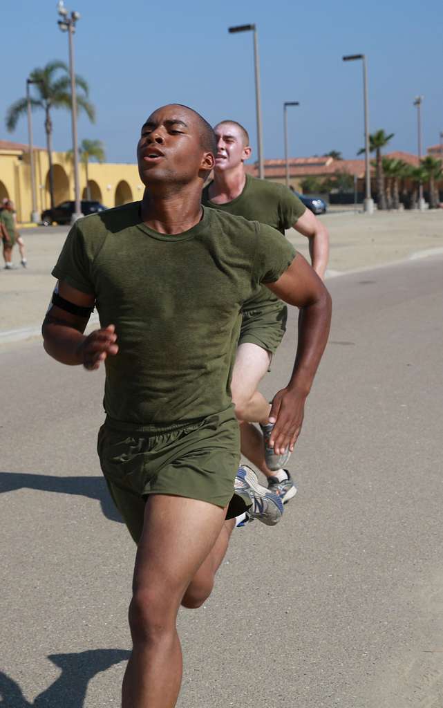 Recruits from Fox Company, 2nd Recruit Training Battalion, - PICRYL ...