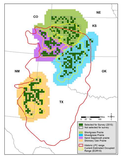 Map of current and historical range of the lesser prairie chicken ...