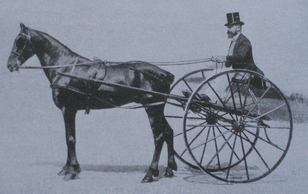 Horse-Drawn Sulky Cart Buggy Carriage