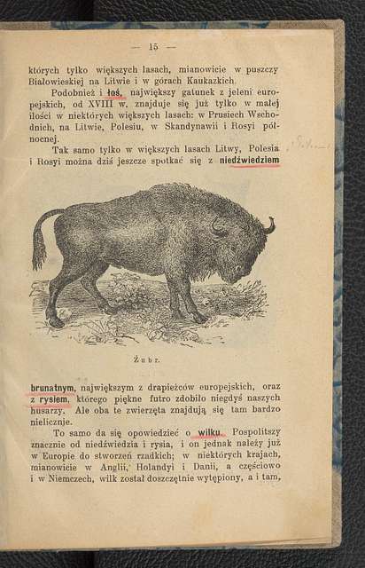 Zwierzeta ladowe i morskie w roznych czesciach swiata 1907 (101183238 ...