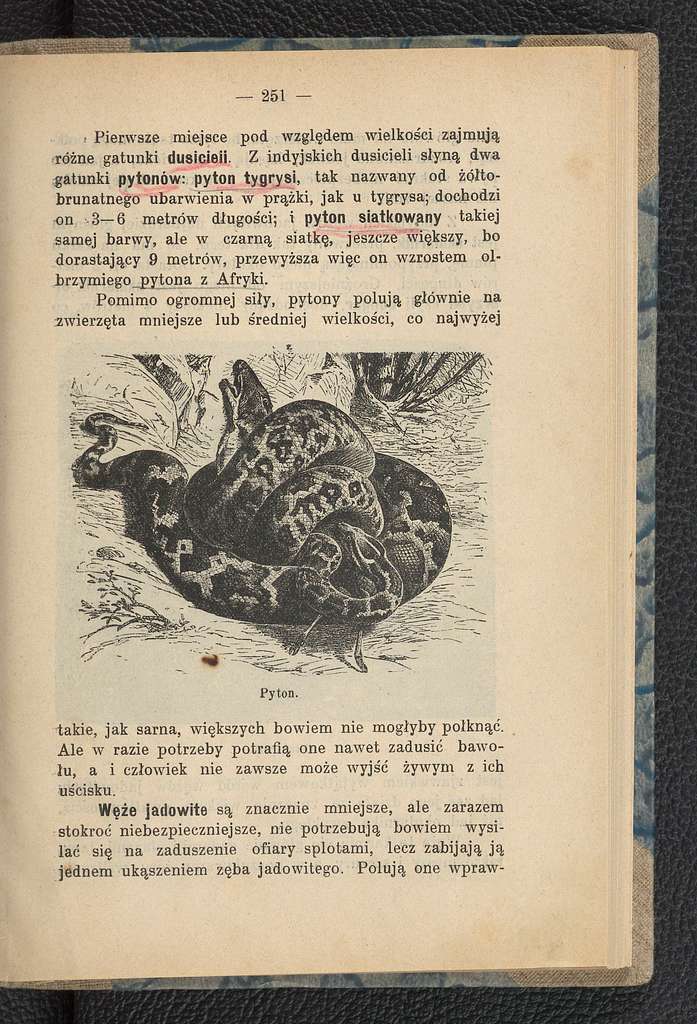 Zwierzeta ladowe i morskie w roznych czesciach swiata 1907 (101184185 ...