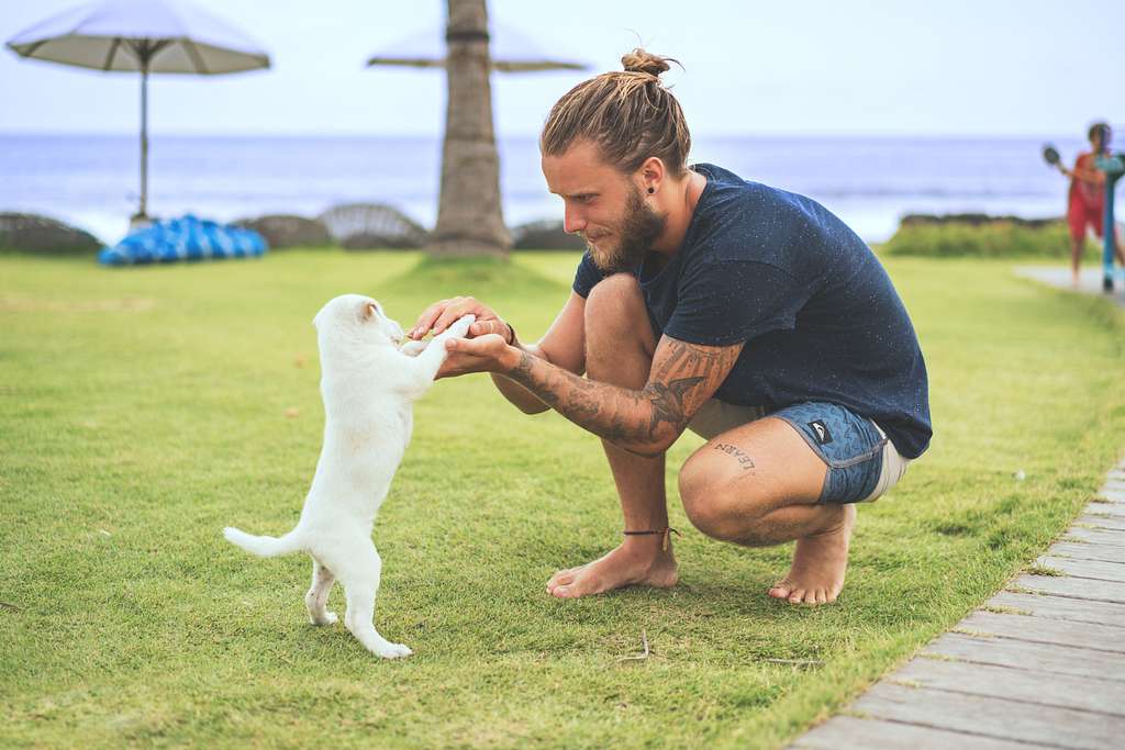 Komune Resort and Beach Club Bali, Indonesia (Unsplash) - PICRYL -Dog Boarding Vista