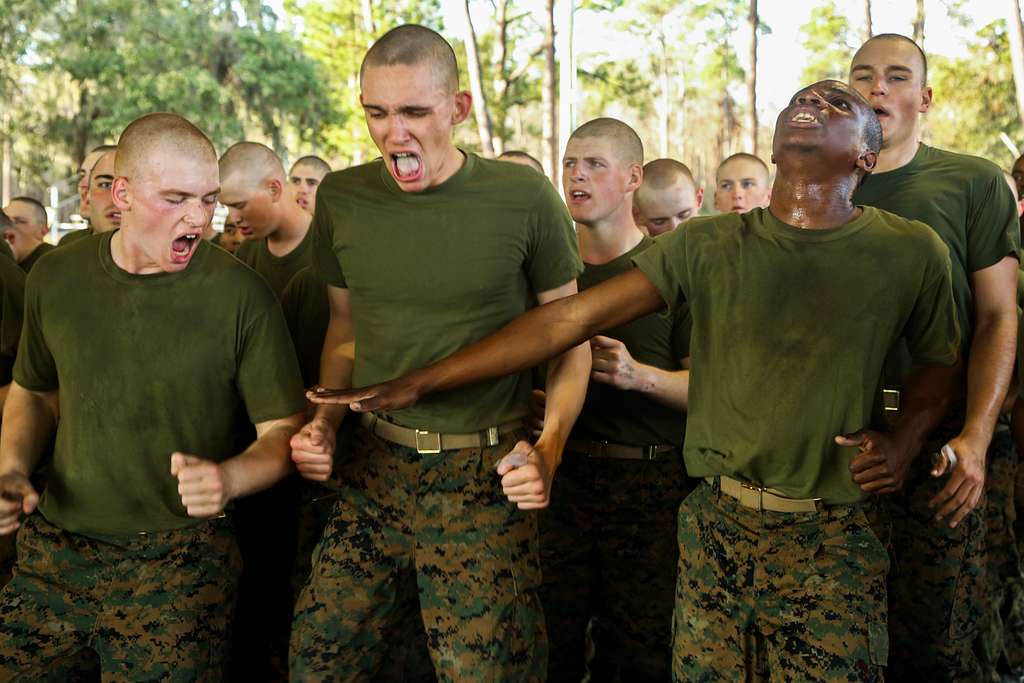 U S Marine Corps Recruits With Platoon 2024 Echo PICRYL Public   Us Marine Corps Recruits With Platoon 2024 Echo F318c9 1024 