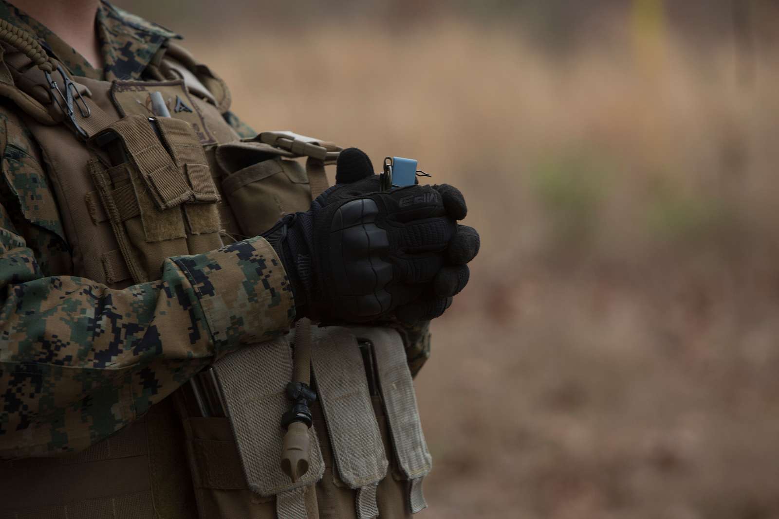 A U.S. Marine with 2nd Law Enforcement Battalion (2d - NARA & DVIDS ...