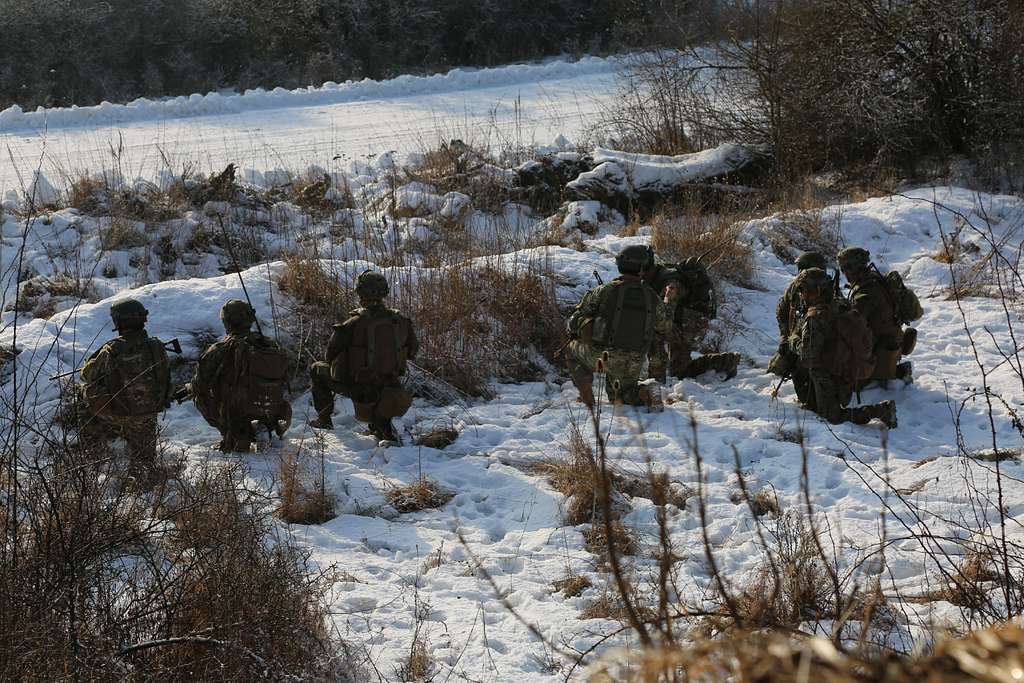 A Georgian Soldier, Center, Of The 23rd Infantry Battalion - NARA ...