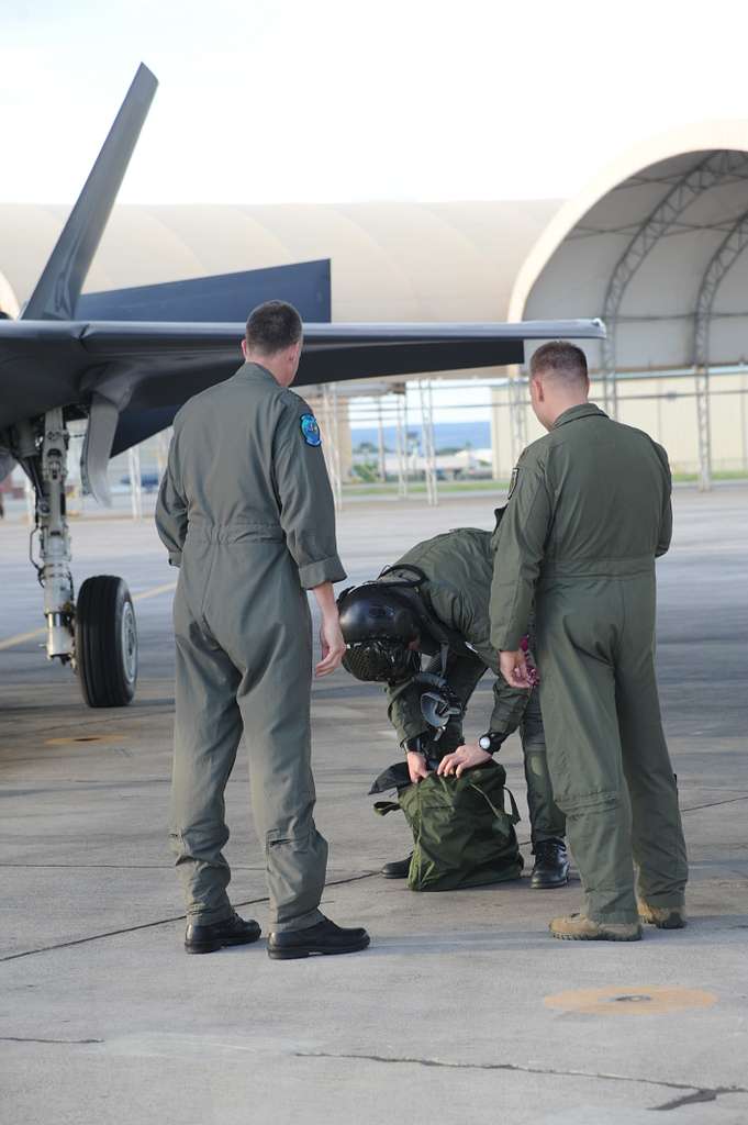 Two Australian F-35A Lightning II Joint Strike Fighters - PICRYL Public ...