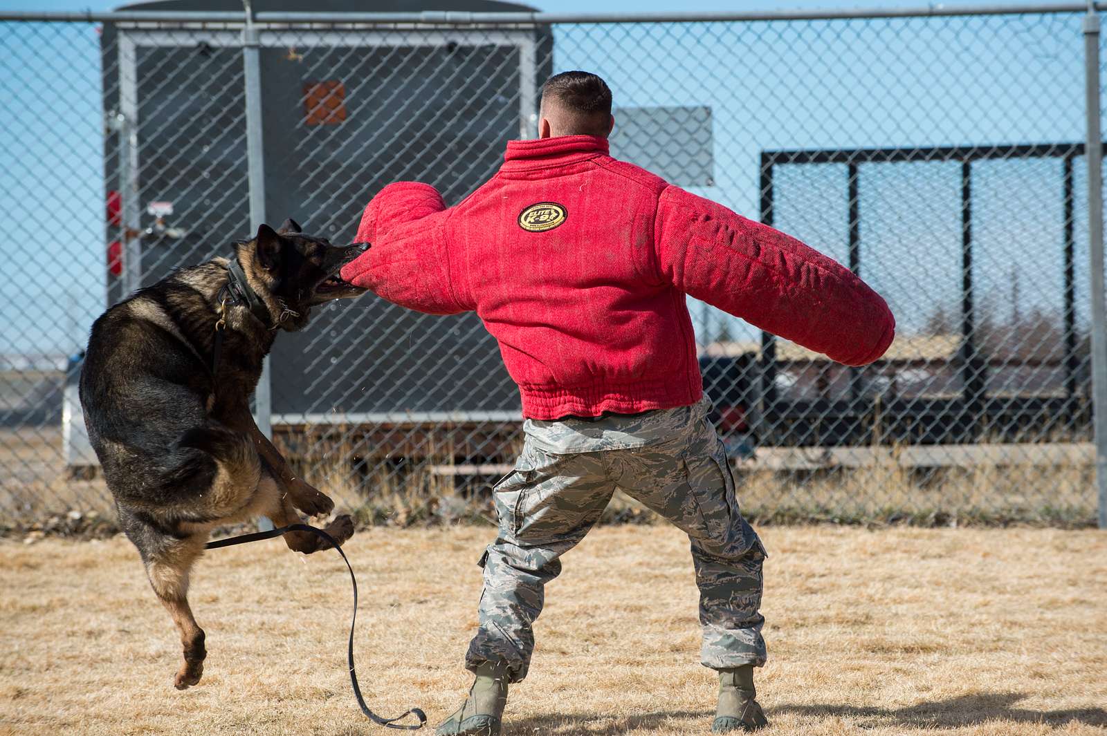 Oli, a military working dog, bites the protective suit - NARA & DVIDS ...