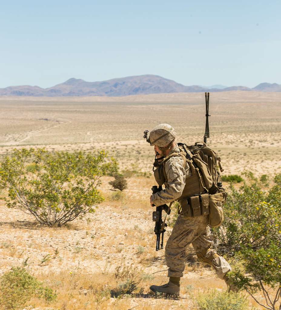 A Marine with 2nd Battalion, 4th Marine Regiment coordinates - PICRYL ...