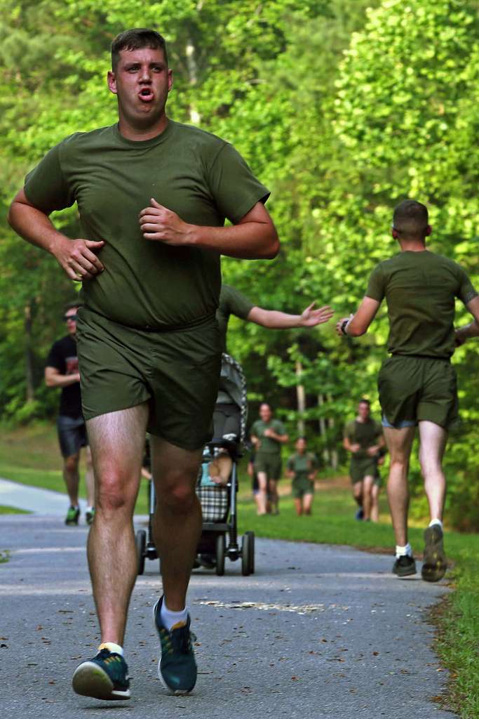 U.S. Marine Corps Sgt. Derek Picklesimer, reproduction - PICRYL Public ...