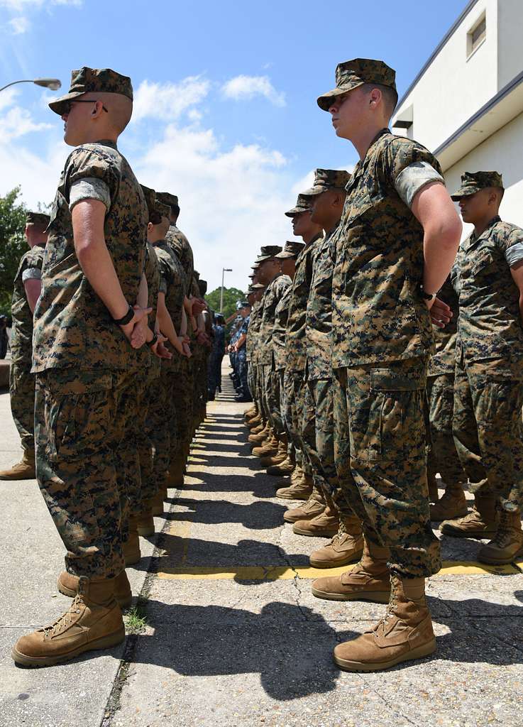 Keesler Marine Detachment members stand in formation - NARA & DVIDS ...