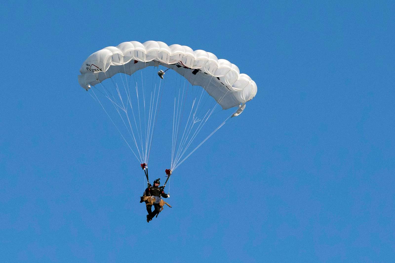 Navy Chief Petty Officer Ron Condrey skydives with - NARA & DVIDS ...