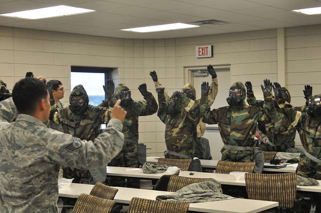 Dallas Cowboys show appreciation to North Texas military > 301st Fighter  Wing > Article Display