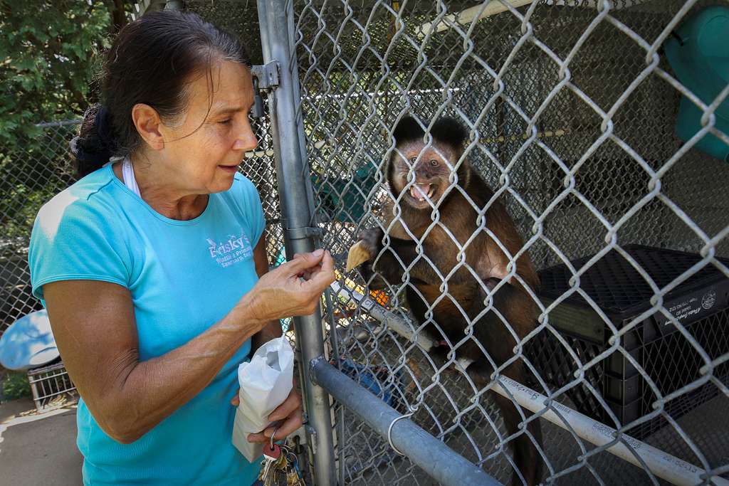 Colleen Layton-Robbins, A Wildlife Rehabilitator And - NARA & DVIDS ...