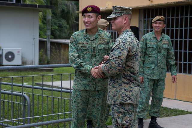 U.S. Marine Corps Lt. Col. Michael Hays, Commanding - PICRYL - Public ...