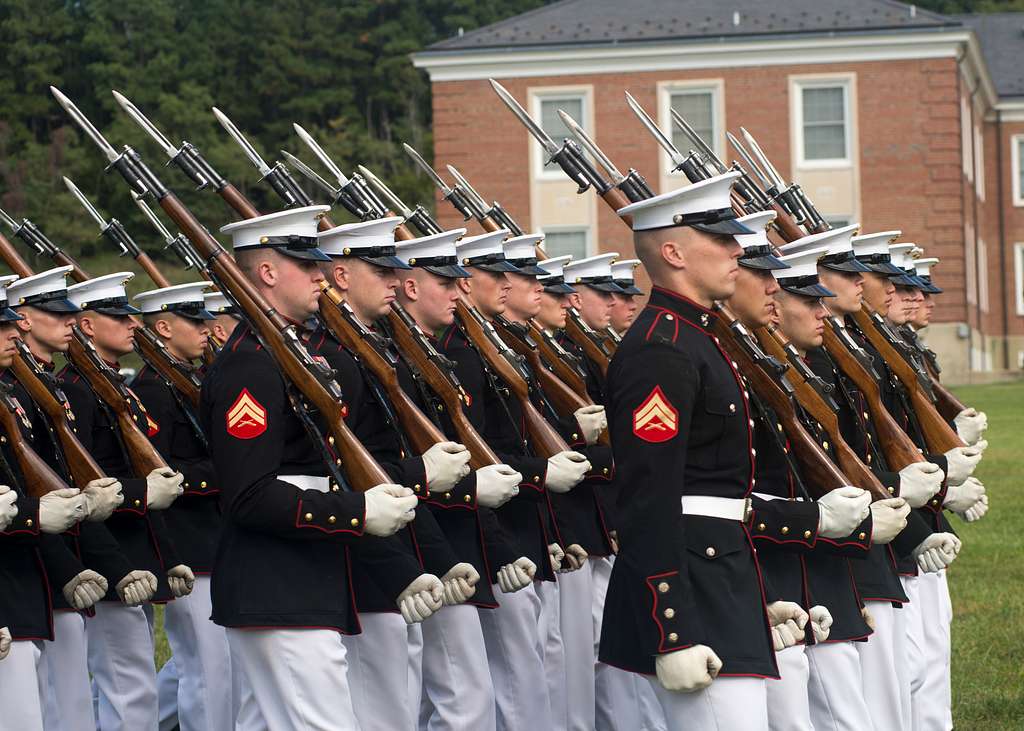 Silent Drill Team performs at Chicago Bears game. - PICRYL - Public Domain  Media Search Engine Public Domain Search