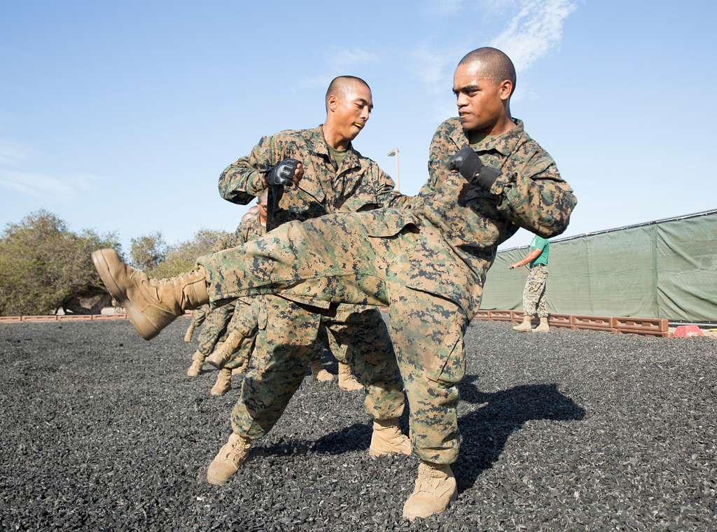 A recruit from Mike Company, 3rd Recruit Training Battalion, applies a choke  hold during a Marine Corps Martial Arts Program test at Marine Corps  Recruit Depot San Diego, July 20. The recruits