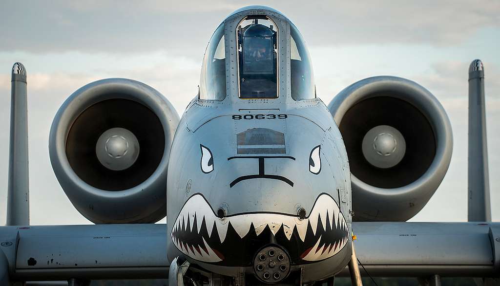 A 75th Fighter Squadron A-10 Thunderbolt II pilot performs - NARA ...