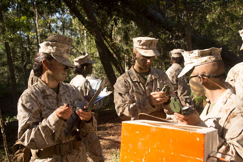 U.S. Marine Corps recruits with Oscar Co., 4th Battalion, - PICRYL ...