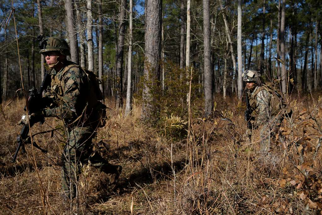 Marines with 2nd Light Armored Reconnaissance Battalion, - PICRYL ...