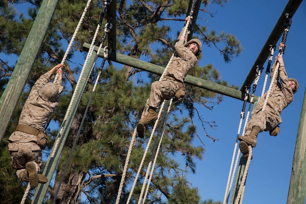 U.S. Marine Corps Recruits With Platoon 3013, Lima - PICRYL - Public ...