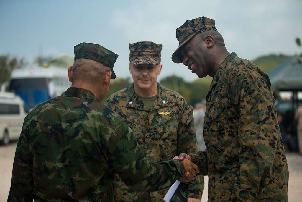 Sergeant Major of the Marine Corps Ronald L. Green - PICRYL - Public ...