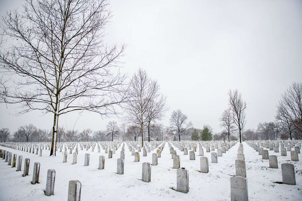 Snow falls from Linwood to Arlington