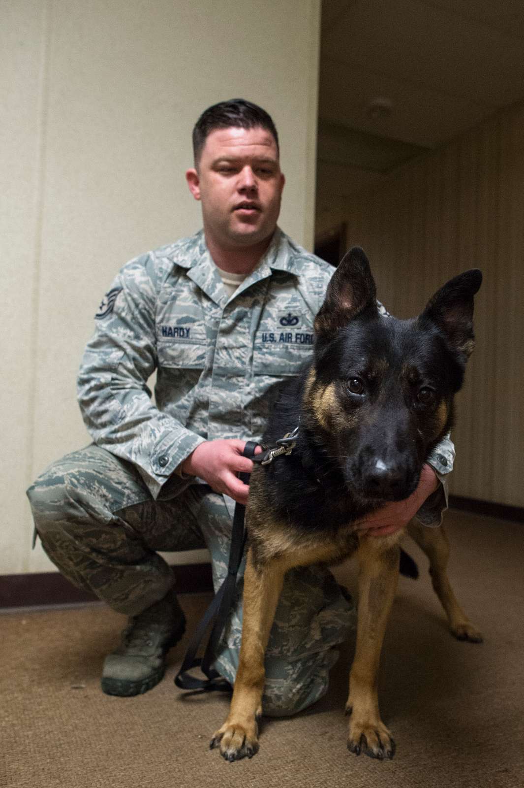 Air Force Staff Sgt. Brandon Hardy and military working - NARA & DVIDS ...