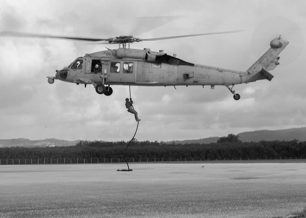 A helicopter rope suspension technique cast master - PICRYL