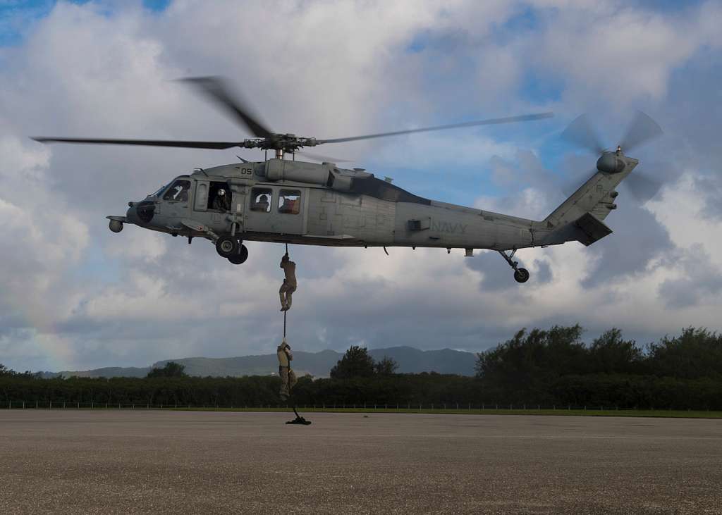 A helicopter rope suspension technique cast master - PICRYL