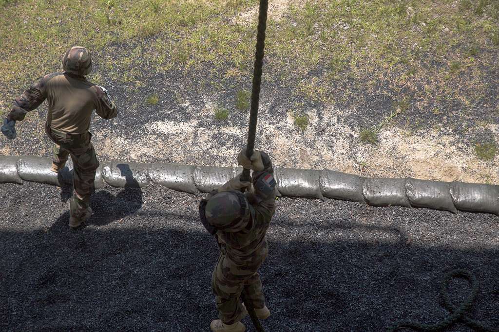 Members of the French Marines fast rope from a rappel - PICRYL - Public  Domain Media Search Engine Public Domain Search