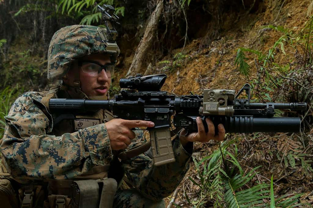 A Marine With Fox Company, Battalion Landing Team, - Picryl Public 