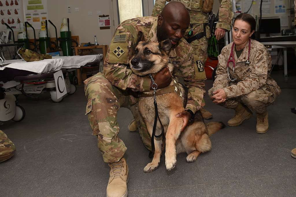 U.S. Army Staff Sgt. Daniel Reeves, 949th Medical Detachment - PICRYL ...