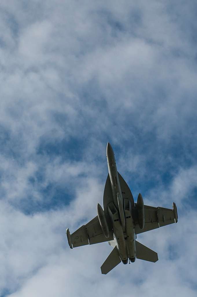 A U.S Navy EA-18G Growler assigned Electronic Attack - NARA