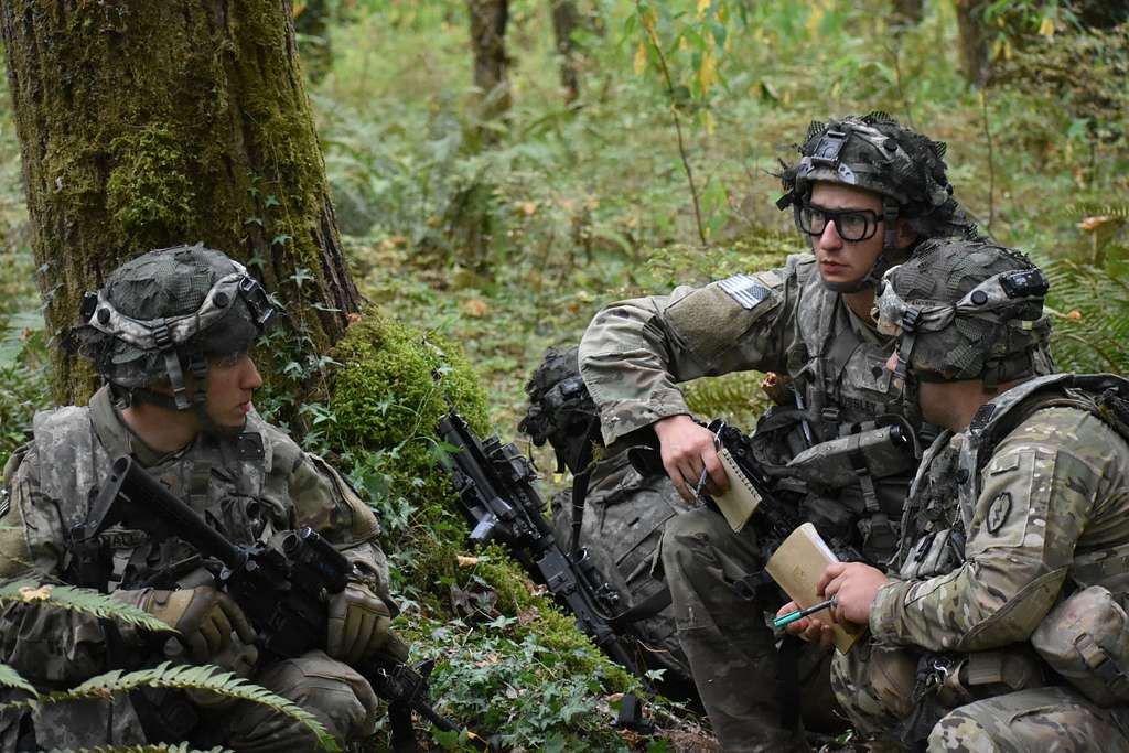 Bobcat Soldiers from 1st Battalion 5th Infantry Regiment, - PICRYL ...