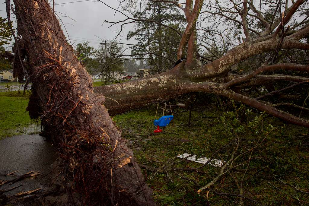 Photograph of a collapsed tree at the base housing - NARA & DVIDS ...