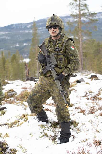 An Italian soldier poses for a portrait while guarding - NARA & DVIDS ...