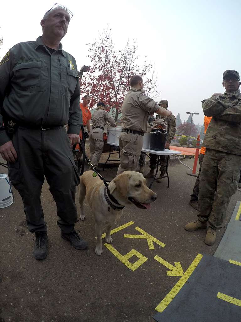 a-first-responder-and-k9-stand-in-line-at-the-picryl-public-domain-search