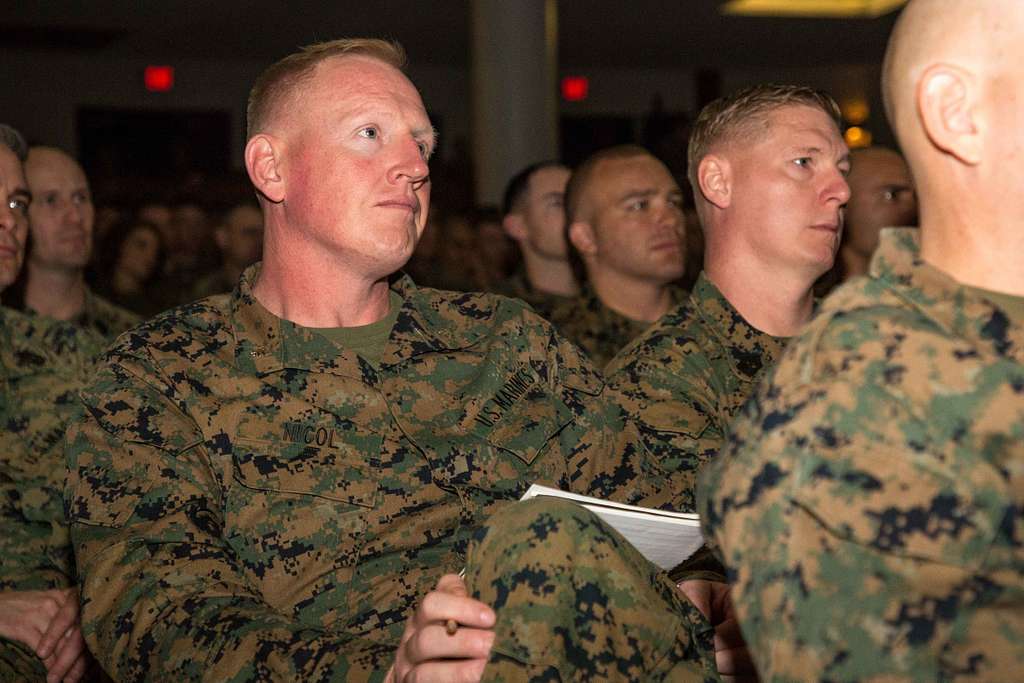 U.S. Marine Lt. Col. Charles D. Nicol Jr., the battalion - PICRYL ...