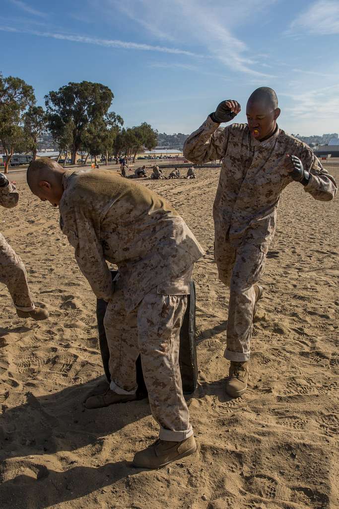 A recruit from Mike Company, 3rd Recruit Training Battalion, applies a choke  hold during a Marine Corps Martial Arts Program test at Marine Corps  Recruit Depot San Diego, July 20. The recruits