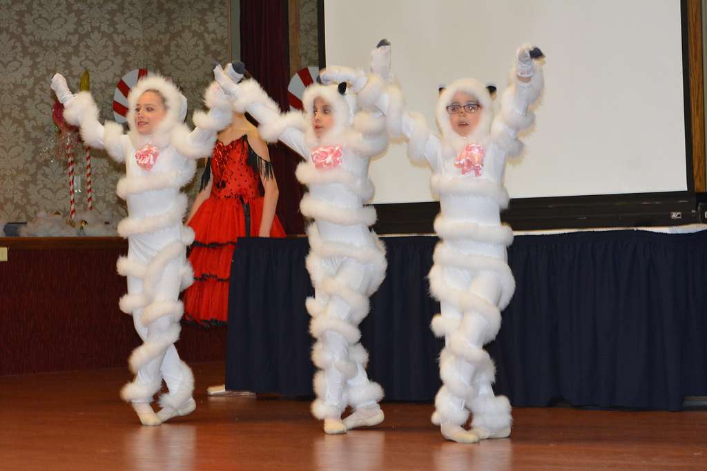 Members of Ann Brodie s Carolina Ballet perform choreography