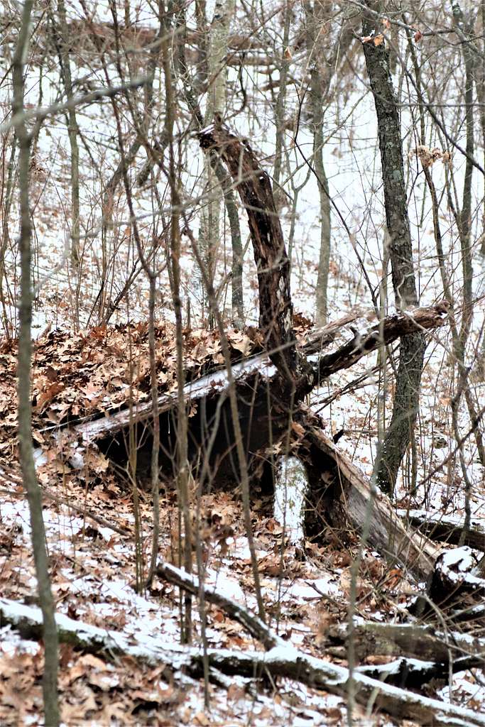 an-improvised-shelter-built-by-a-student-in-fort-mccoys-b817f3-1024.jpg
