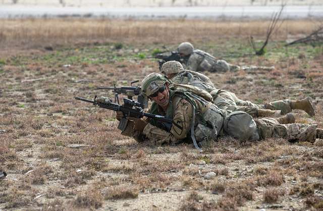 An Infantry Team Leader From The 2nd Armored Brigade - Nara & Dvids 