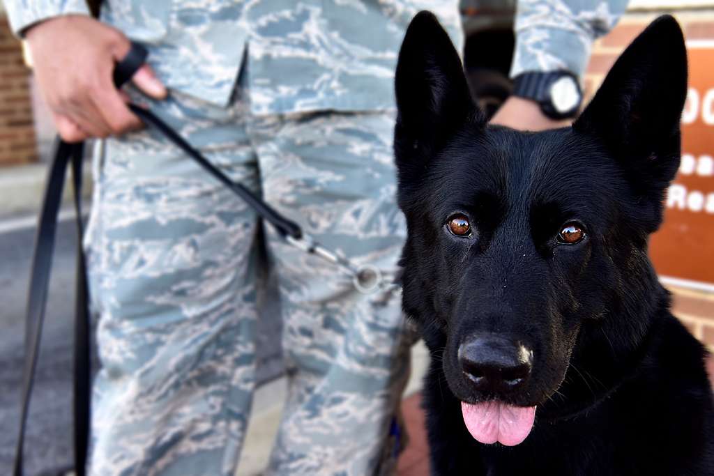 DVIDS - Images - AFDW Commander and Command Chief at the Washington  Commander game [Image 11 of 12]