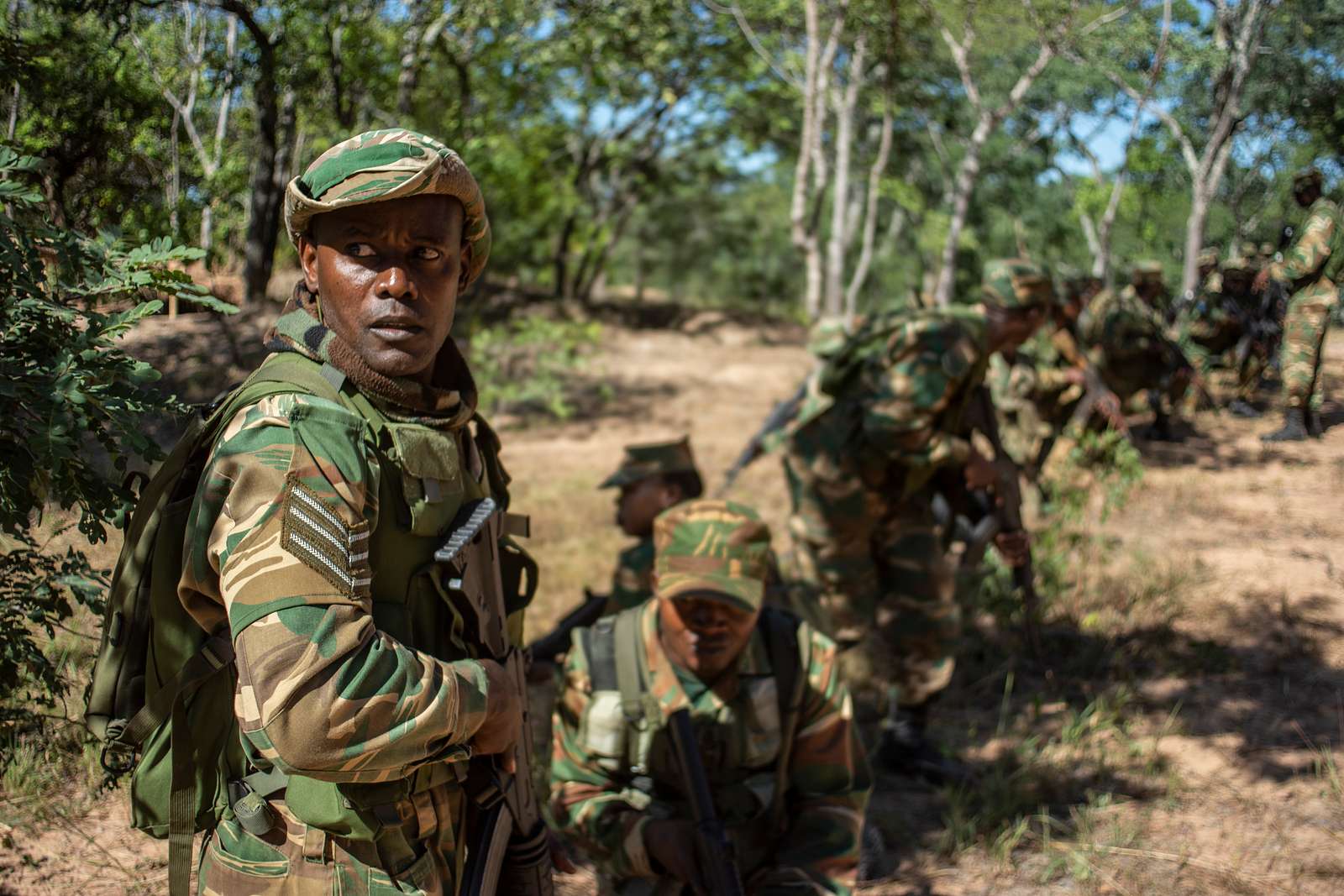 A Zambian Soldier leads a patrol during a pre-deployment - NARA & DVIDS ...